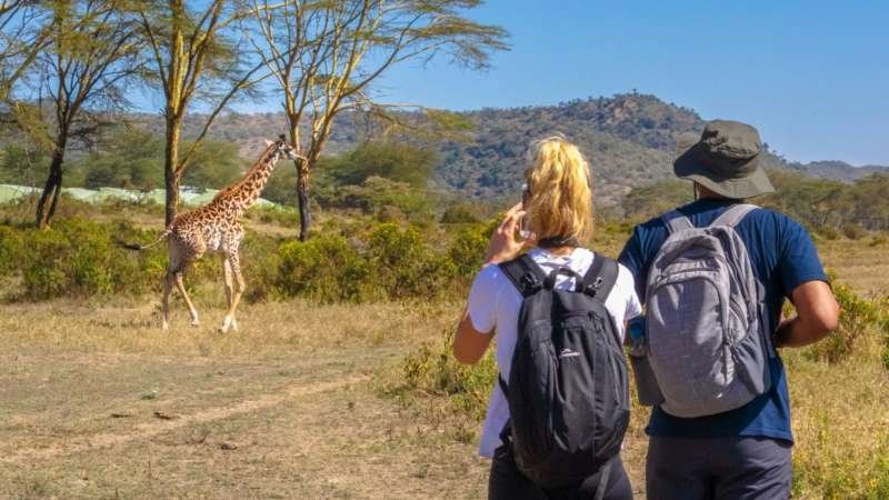 lakenaivashawalkinggiraffecropped
